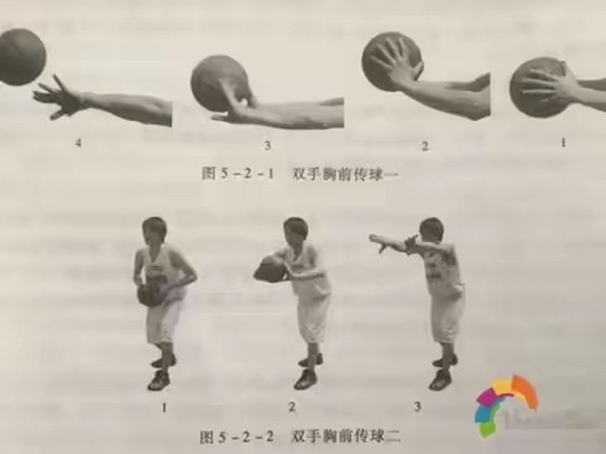 篮球教练如何为不同年龄段的球员制定战术训练方案?_1